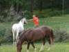 2014HWK 098_small.jpg